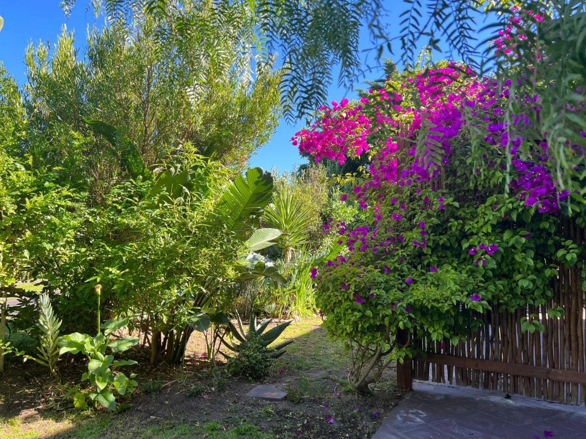 Sunset Beach Living Guesthouse 开普敦 外观 照片